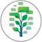 Tree Style Tab Manager