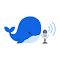 Voice To DeepSeek