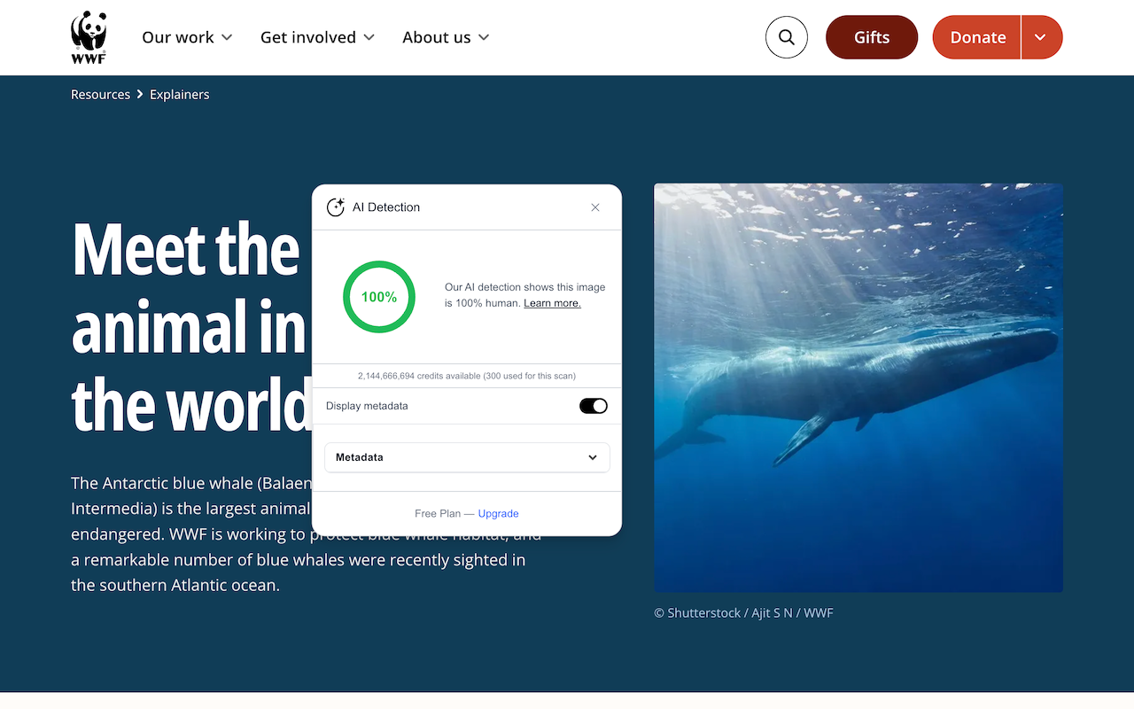 AI Detector for text and images - Winston AI - 截图 1