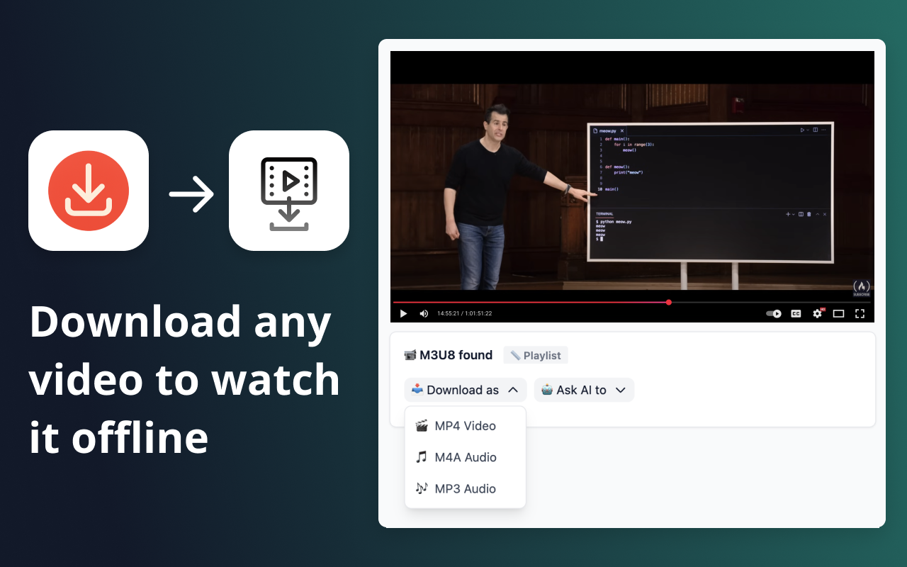 Canvas – Video Downloader, Transcriber & Summarizer - 截图 2