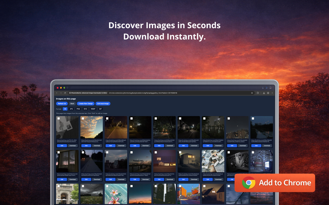 PhoenixMantis: Advanced Image Downloader & Editor - 截图 2