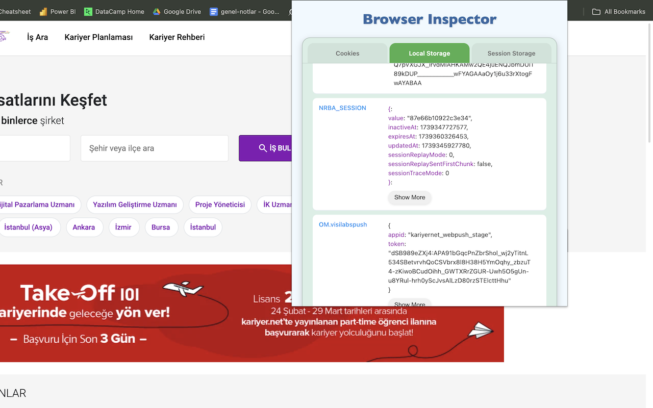 Browser Inspector - 截图 1