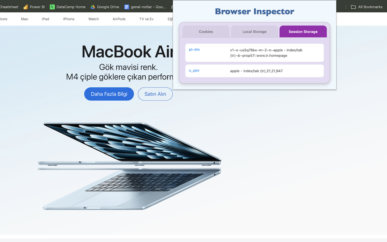 Browser Inspector - 截图 2