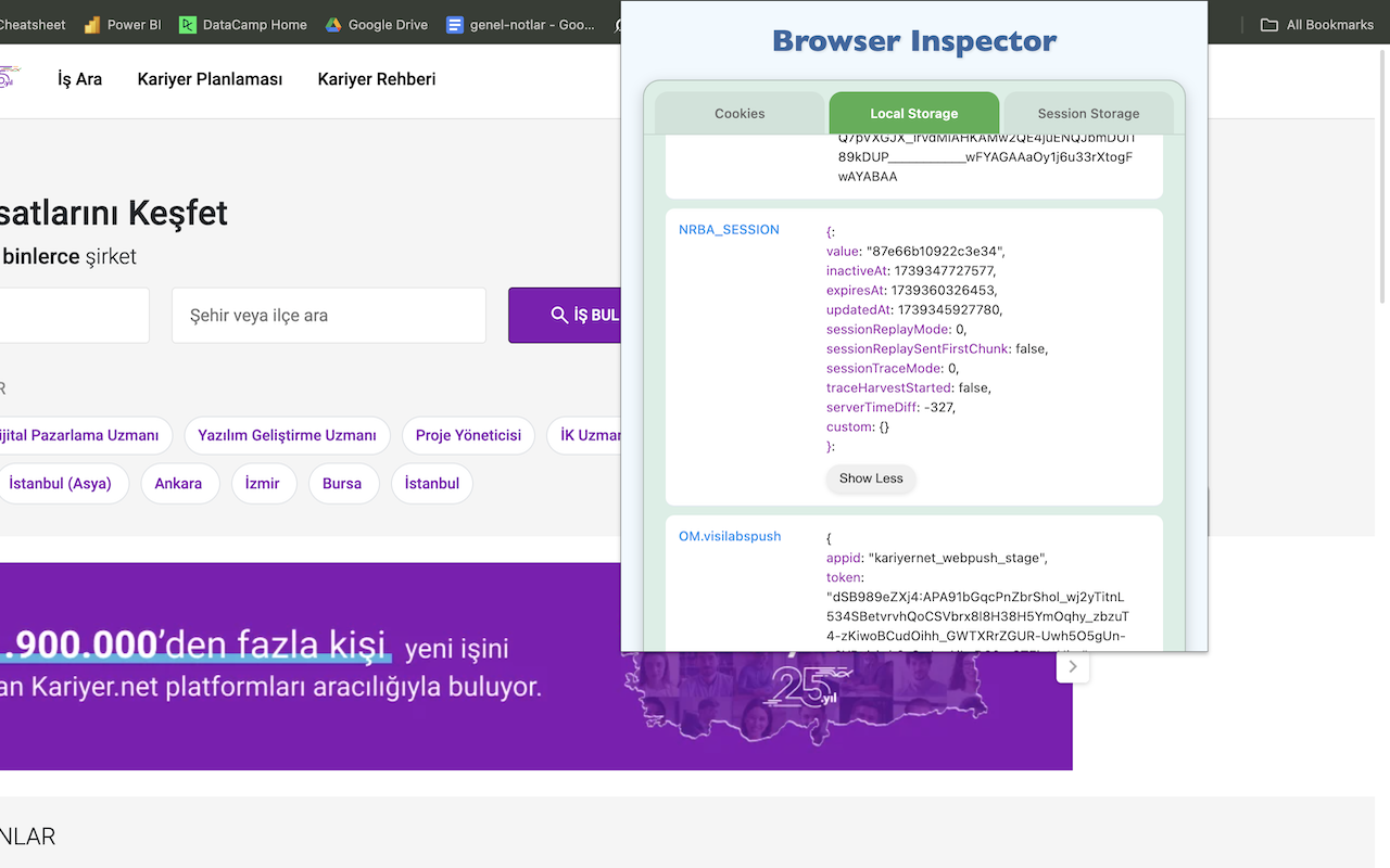 Browser Inspector - 截图 3