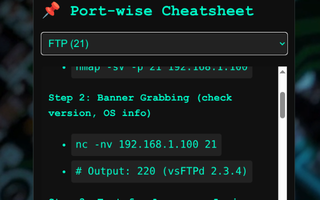 Network Pentesting Toolkit - VAPT - 截图 2