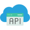 API Call Recorder