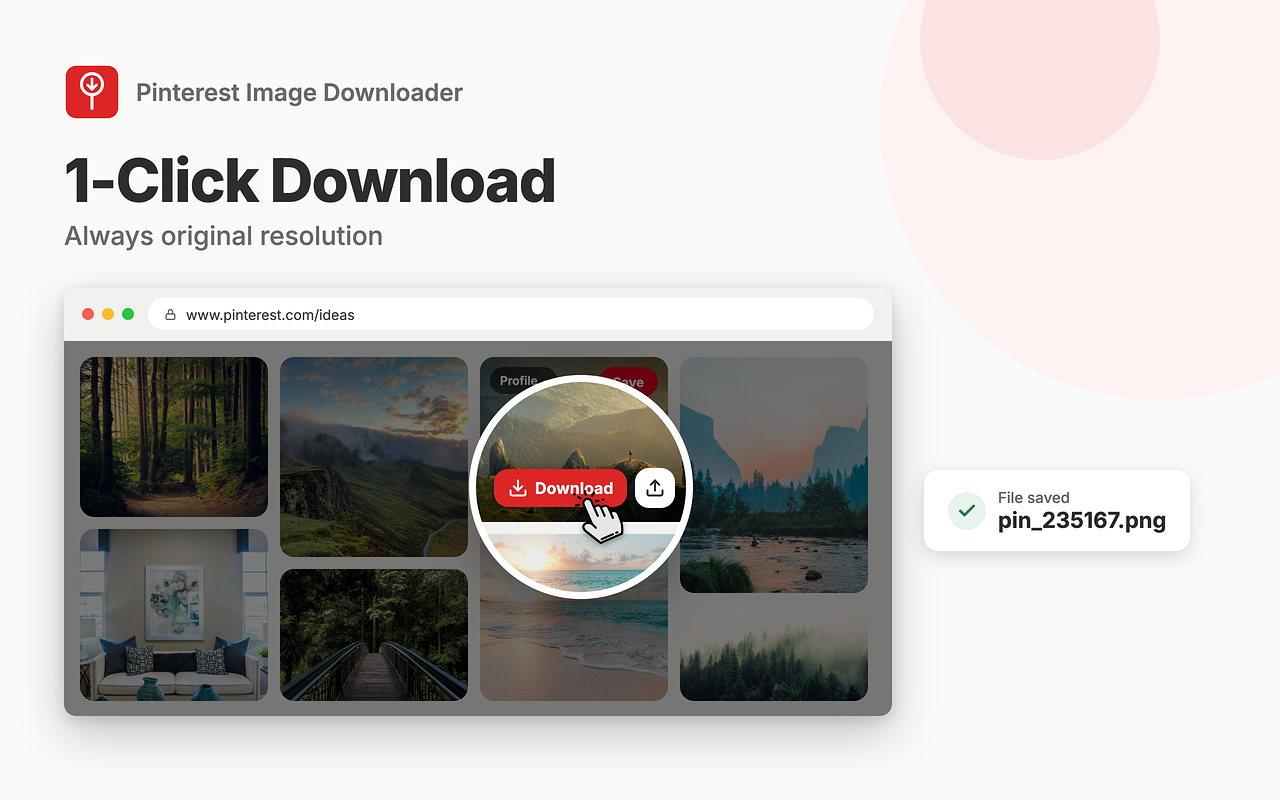 Pinterest 图片下载器 - 截图 2