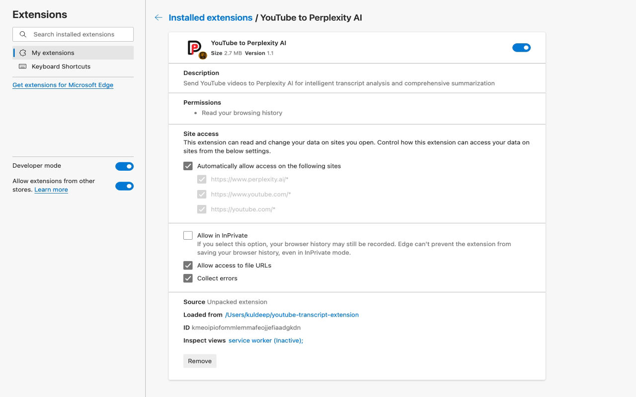 YouTube to Perplexity AI - 截图 1