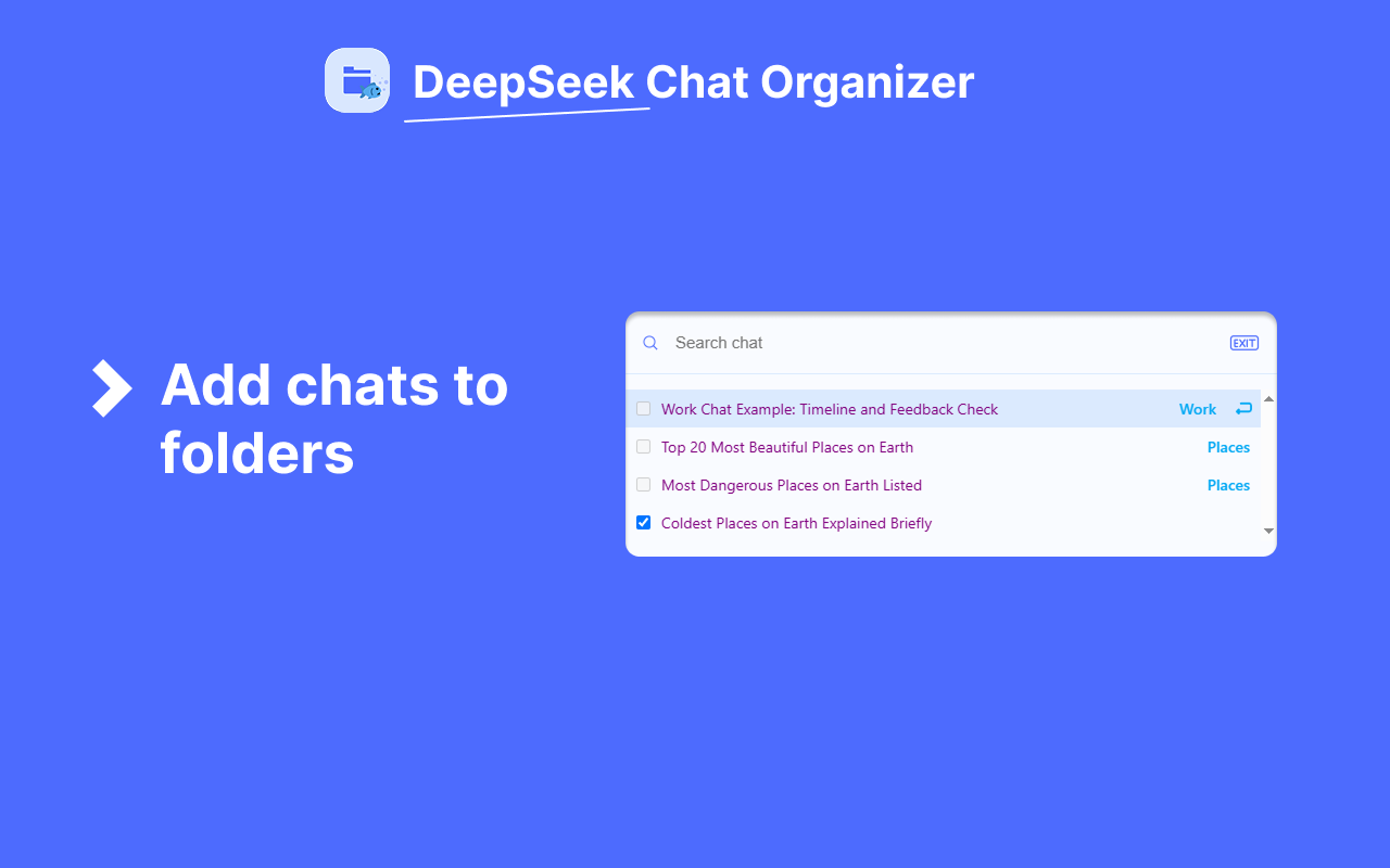 DeepSeek Chat Organizer - 截图 1