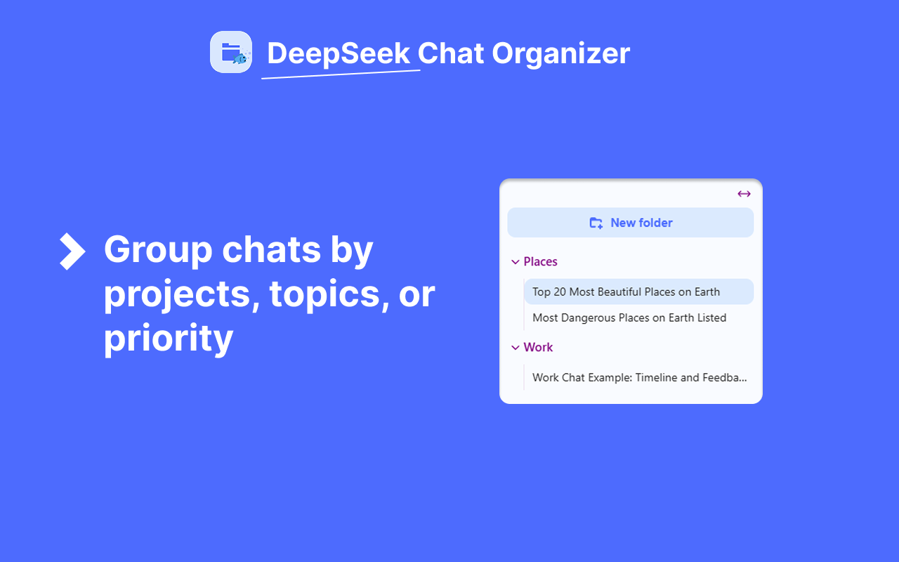 DeepSeek Chat Organizer - 截图 2