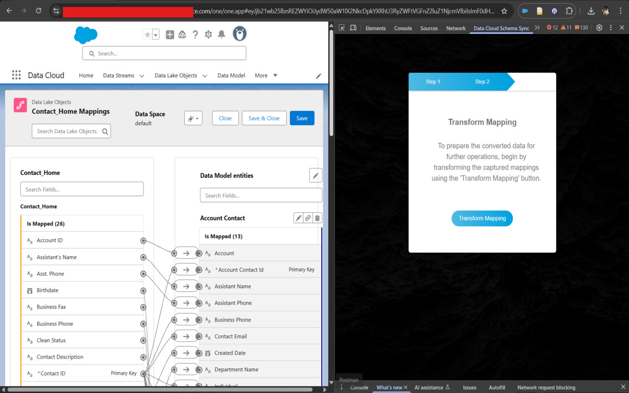 Data Cloud Schema Sync - 截图 2