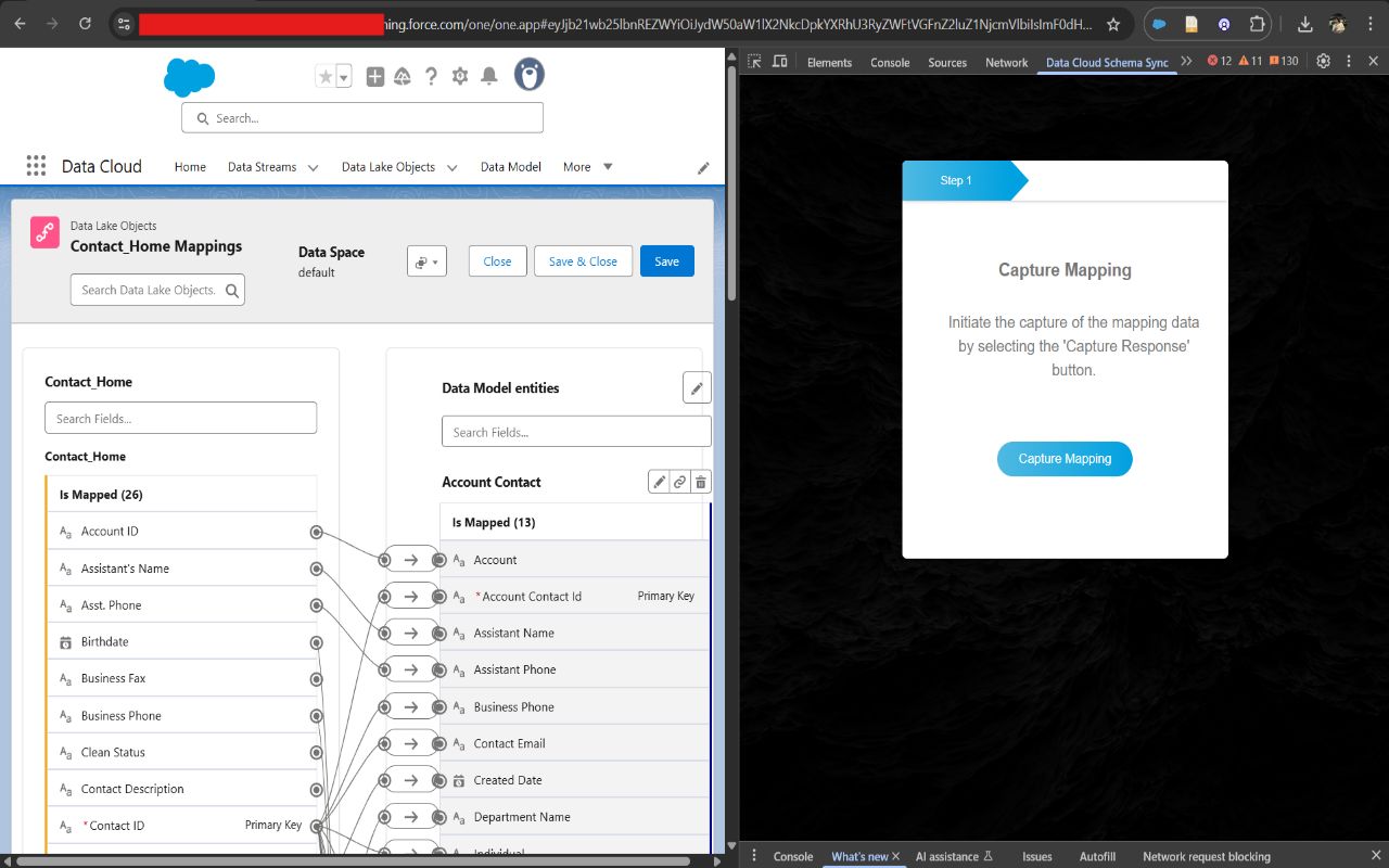 Data Cloud Schema Sync - 截图 3