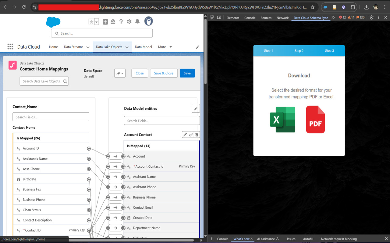 Data Cloud Schema Sync - 截图 4
