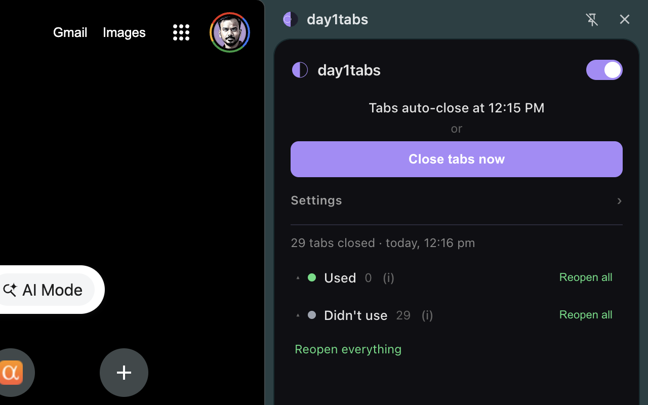 day1tabs - 每日自动关闭标签页并追踪使用情况 - 截图 4
