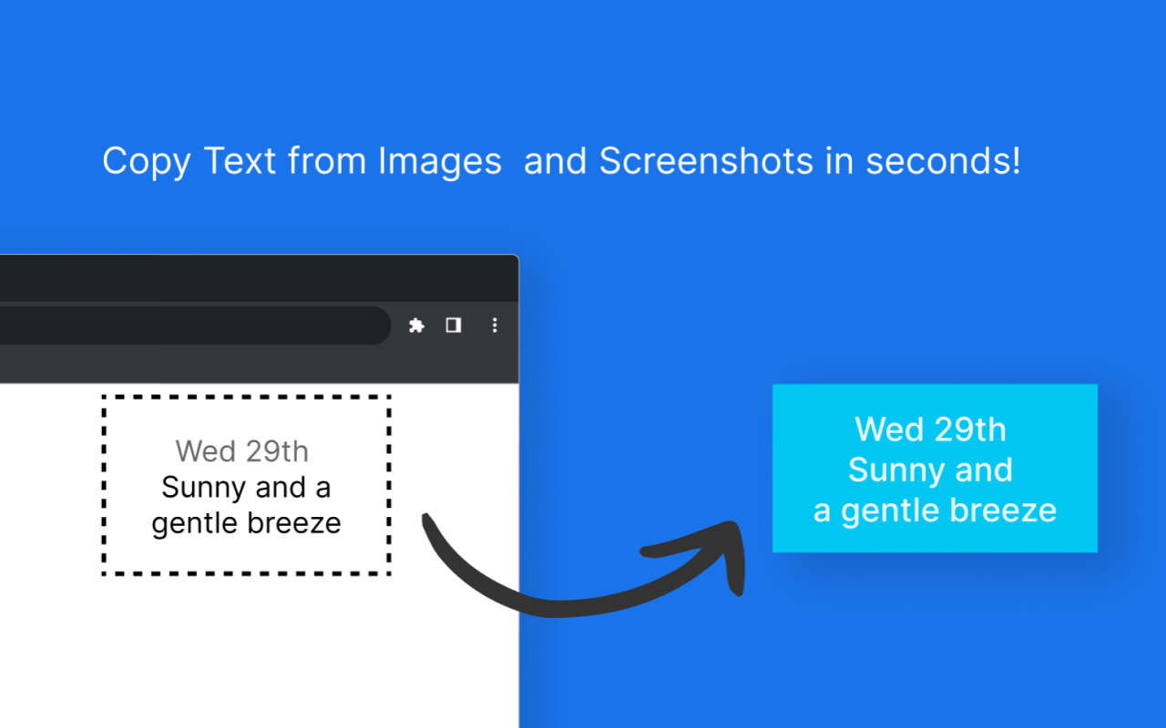 Pic2Text Pro - Copy Text from Images and Screenshots - 截图 1
