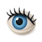 Hide Search History