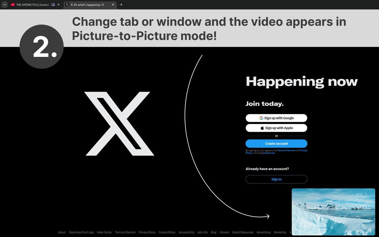 Auto Picture-in-Picture - 截图 2