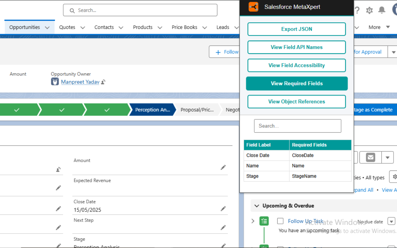 Salesforce MetaXpert - 截图 2