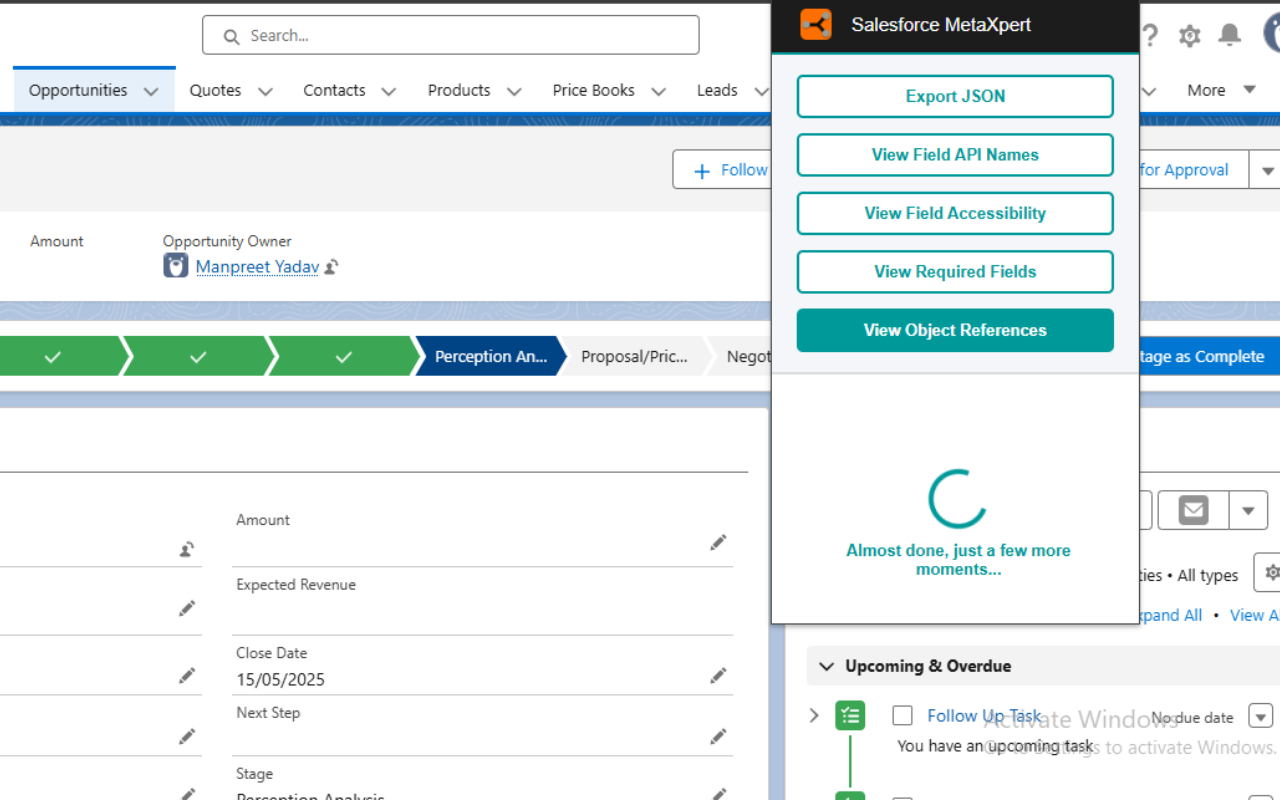 Salesforce MetaXpert - 截图 3