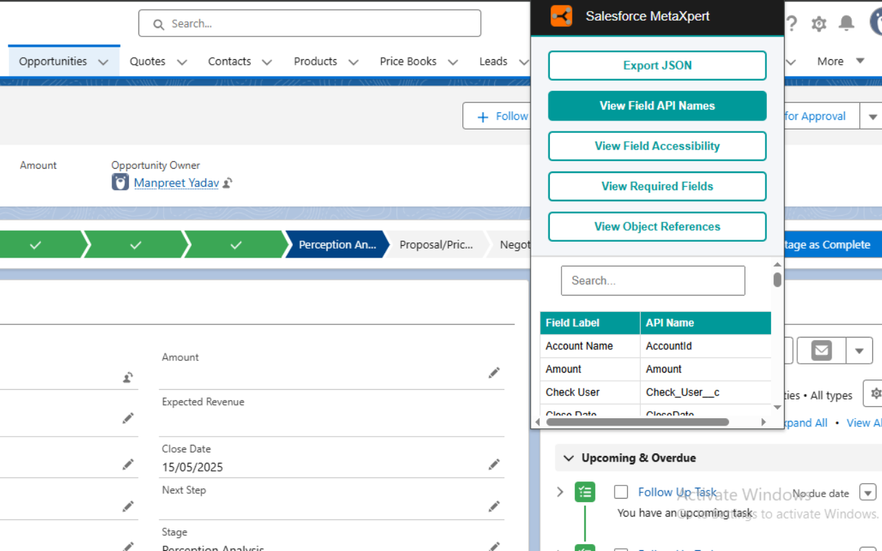 Salesforce MetaXpert - 截图 4