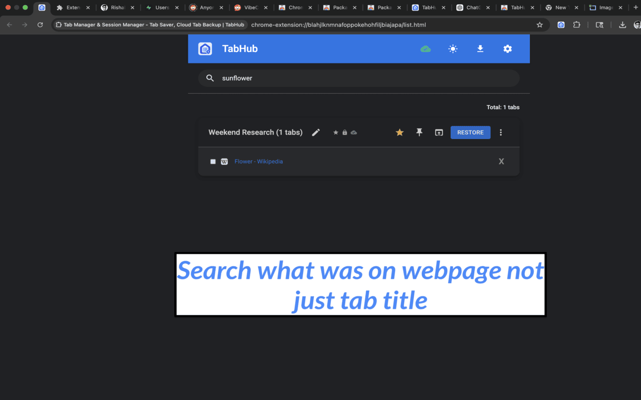 TabHub - Tab Manager & Session Sync - 截图 1