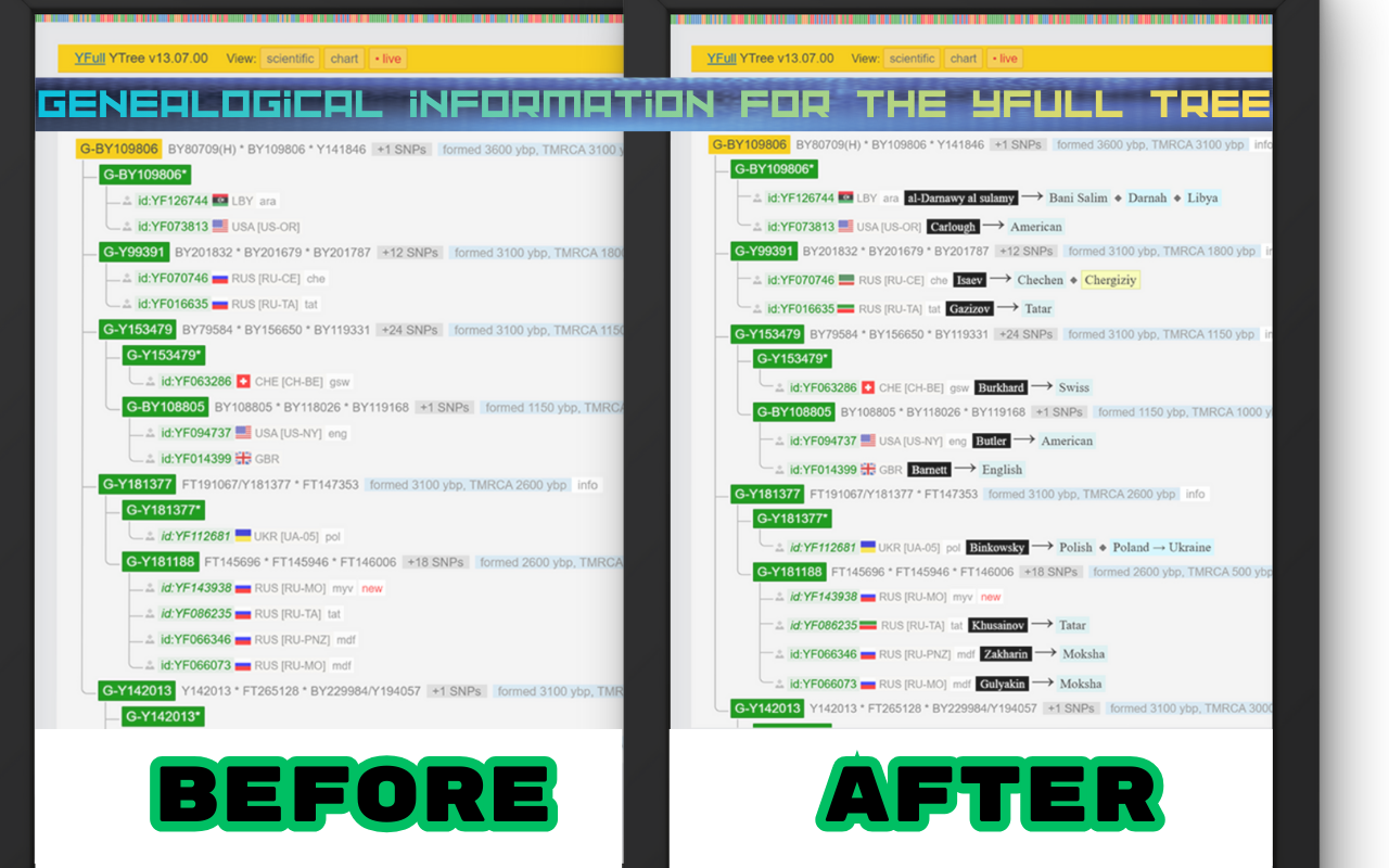 YFull Finder (Ajwla) - 截图 4
