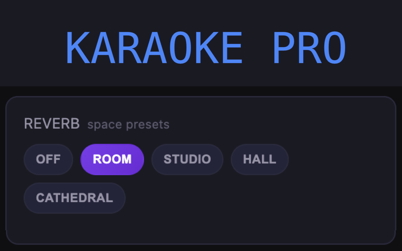 Karaoke Pro - 截图 3