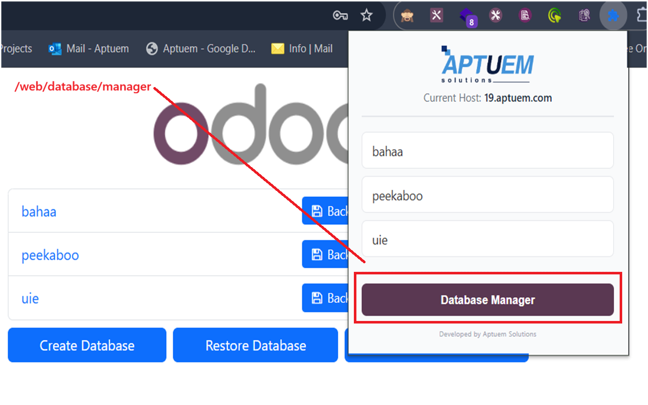 Odoo Database Switcher - 截图 2