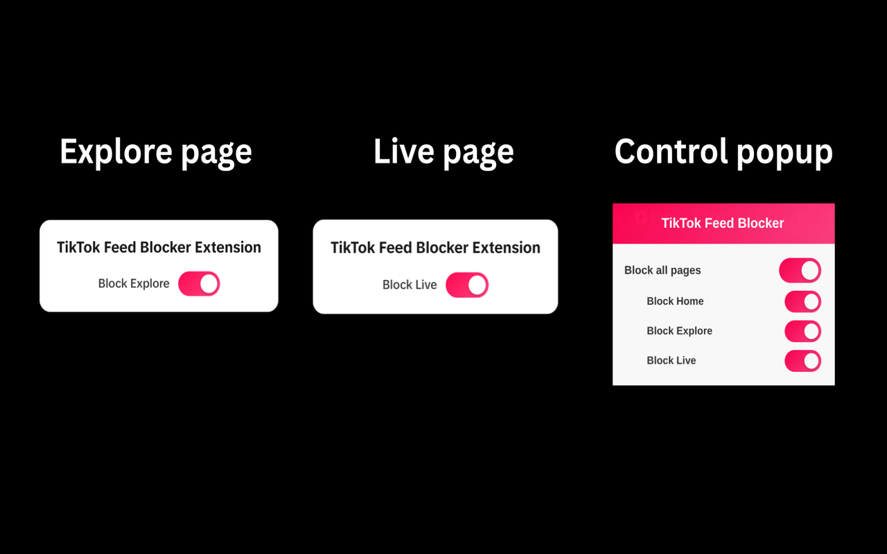 TikTok Feed Blocker - 截图 3