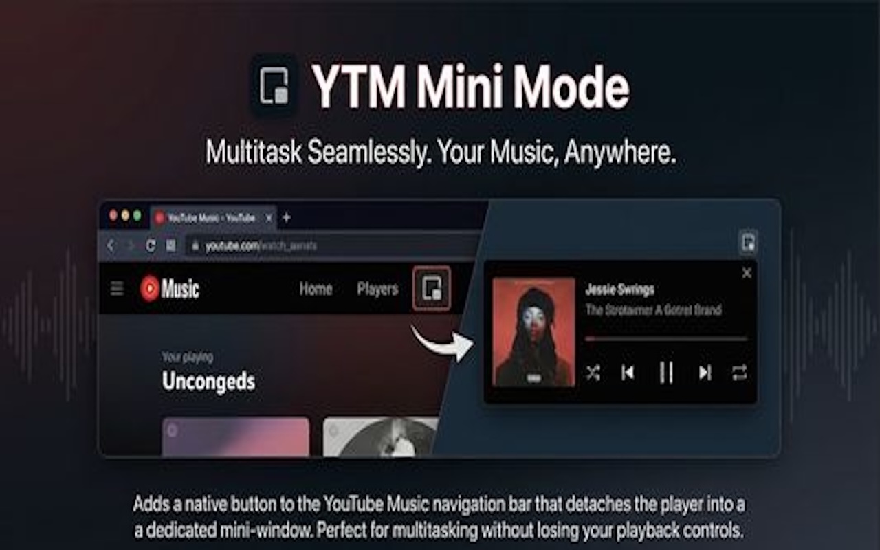 YTM Mini Mode - 截图 3