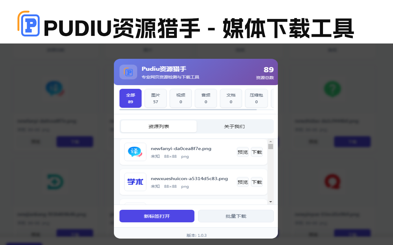 Pudiu资源猎手 - 网页媒体下载工具 - 截图 3