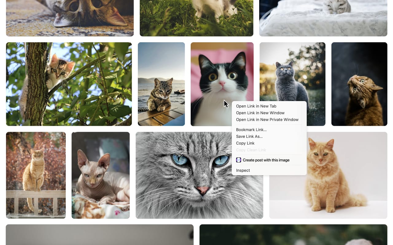 Social Media Templates - 截图 3