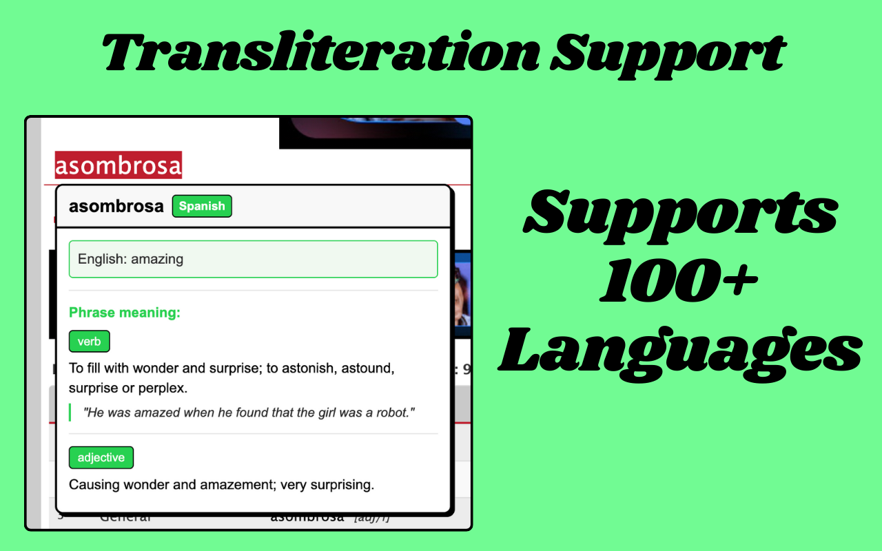 TransliDict - Instant Word Lookup & Translation - 截图 3