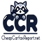 CCR VIN CHECKER - Cheap VIN Reports