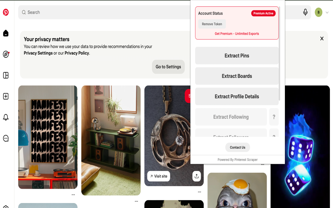 PinBoard Exporter: Bulk Export Pins, Boards & Profiles - 截图 1