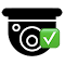 Enable paste on Hikvision cameras