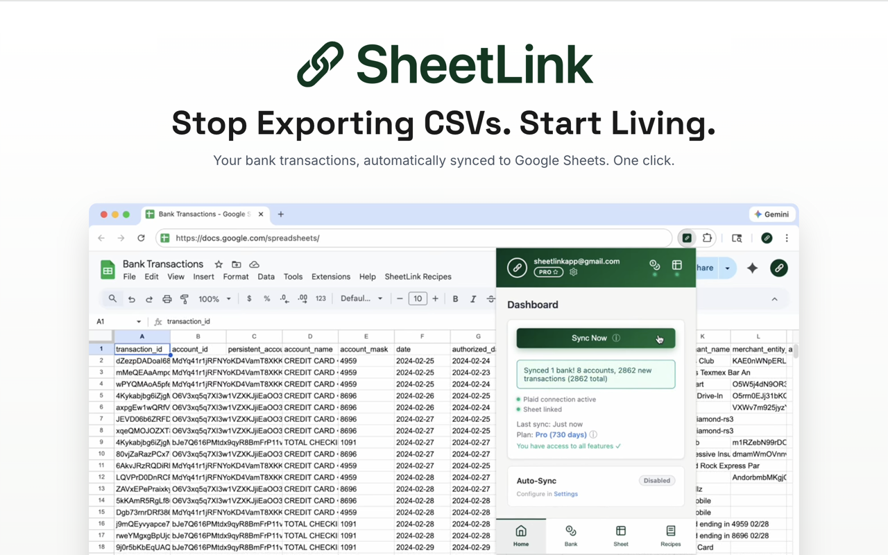 SheetLink: Sync Bank Transactions to Google Sheets - 截图 1