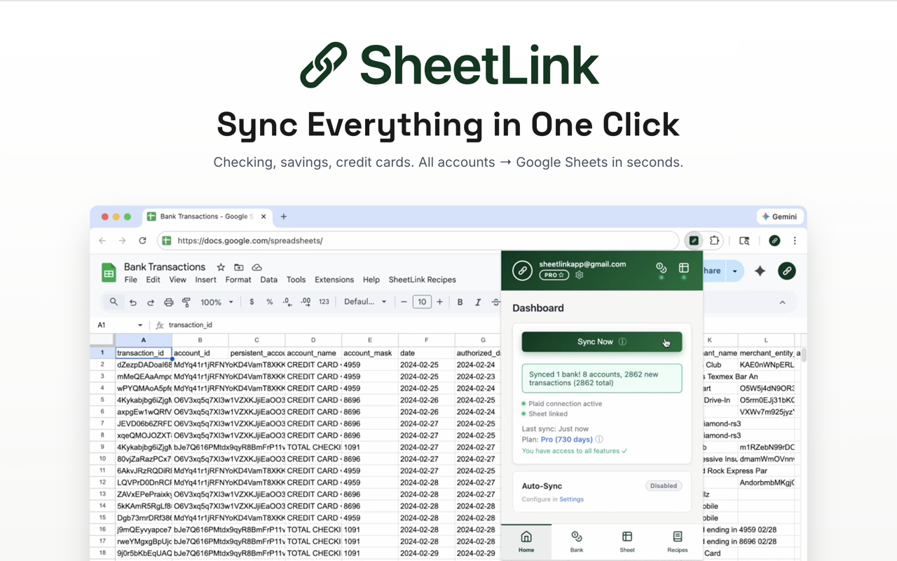 SheetLink: Sync Bank Transactions to Google Sheets - 截图 2