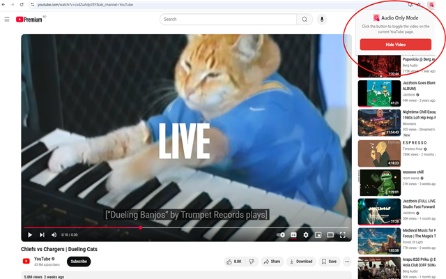 YouTube Audio Only Mode - 截图 2