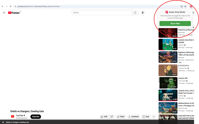 YouTube Audio Only Mode - 截图 3