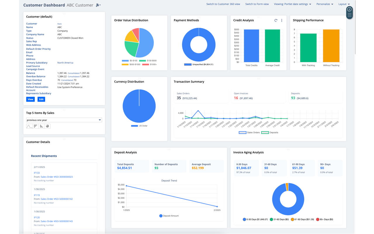 NetSuite Advanced Analytics - 截图 2