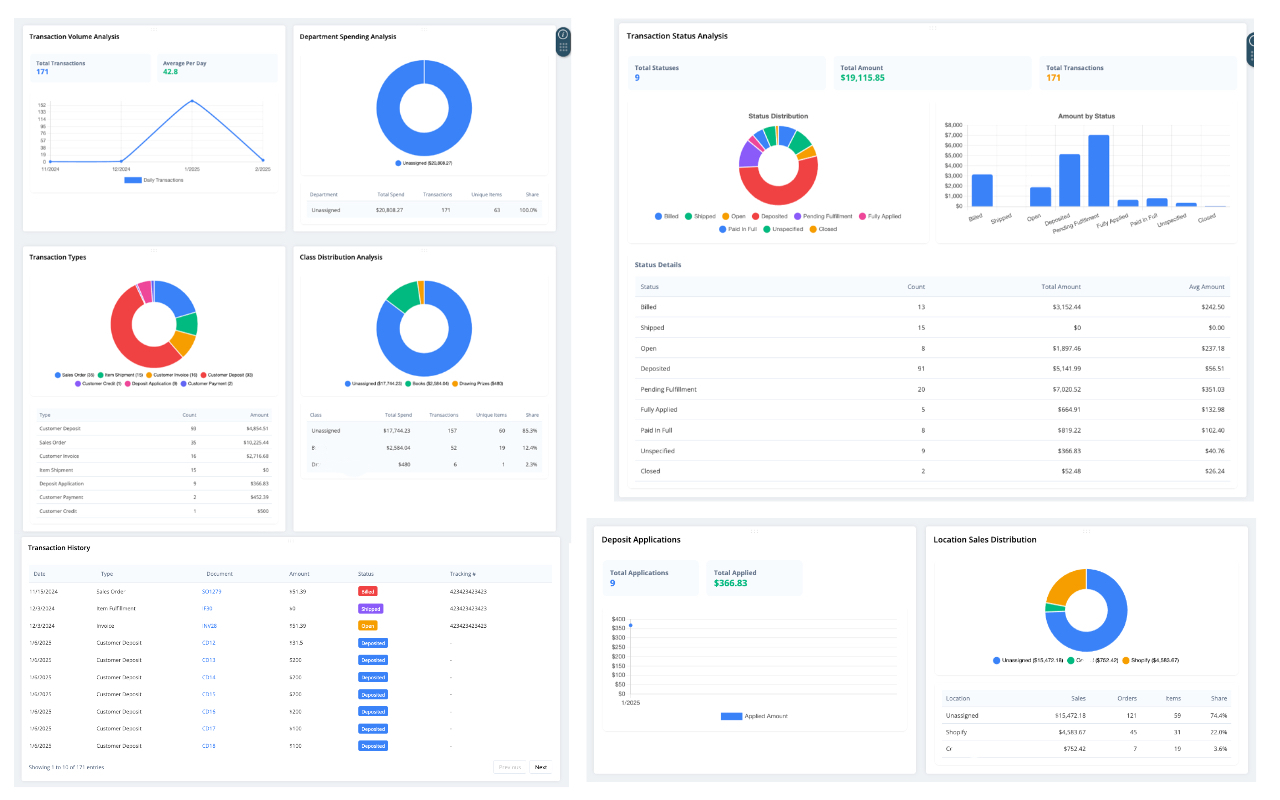 NetSuite Advanced Analytics - 截图 5