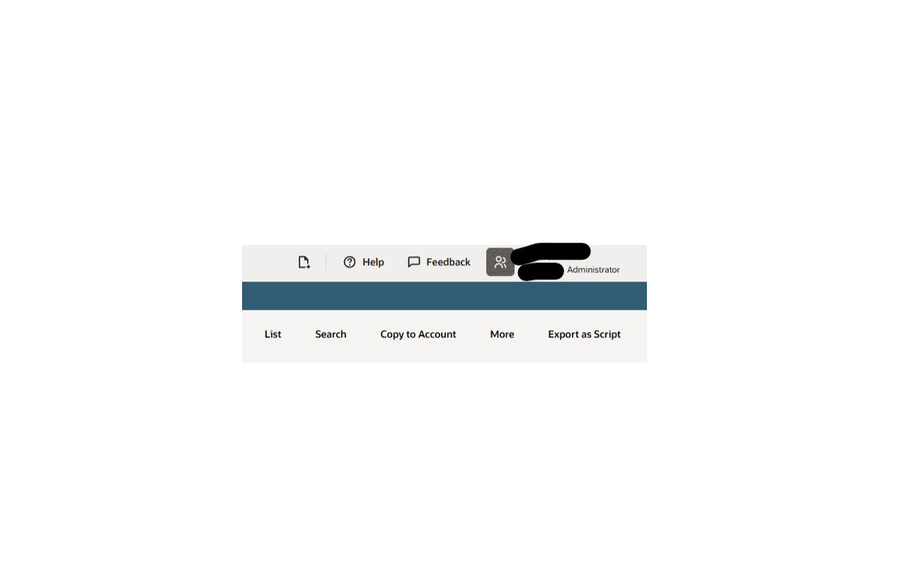 NetSuite Saved Search Extractor - 截图 3