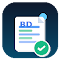 BDBoyz Visa Form Filler