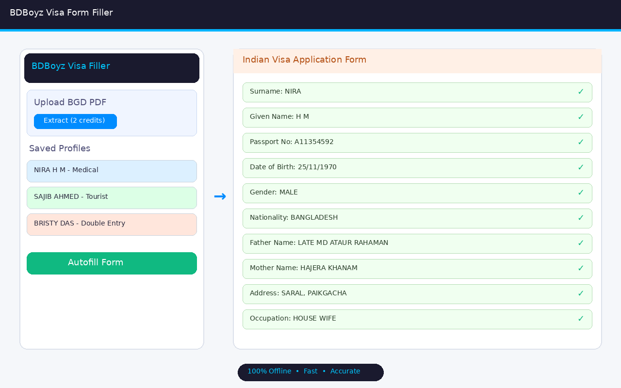 BDBoyz Visa Form Filler - 截图 1