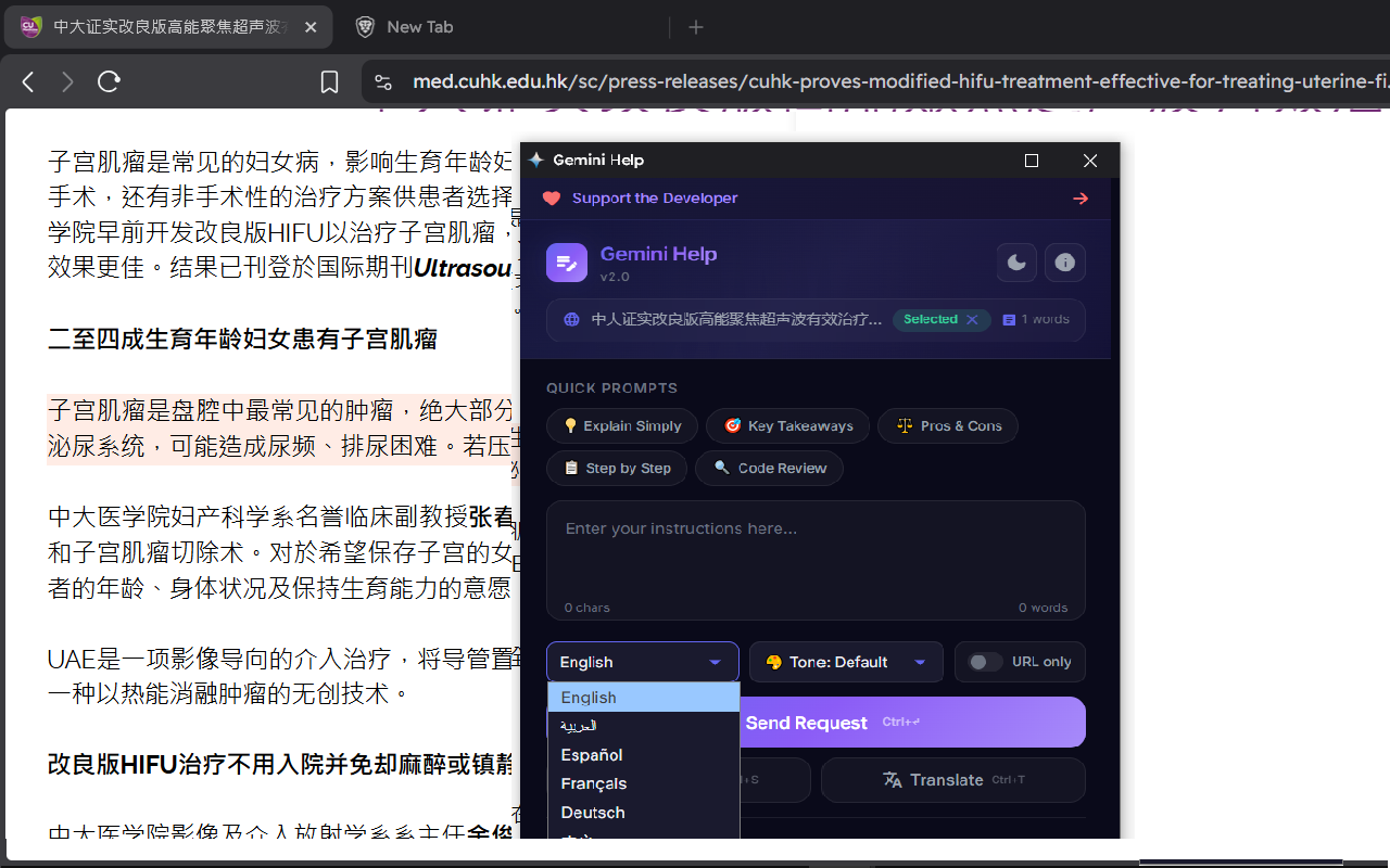 Gemini Help - 截图 1