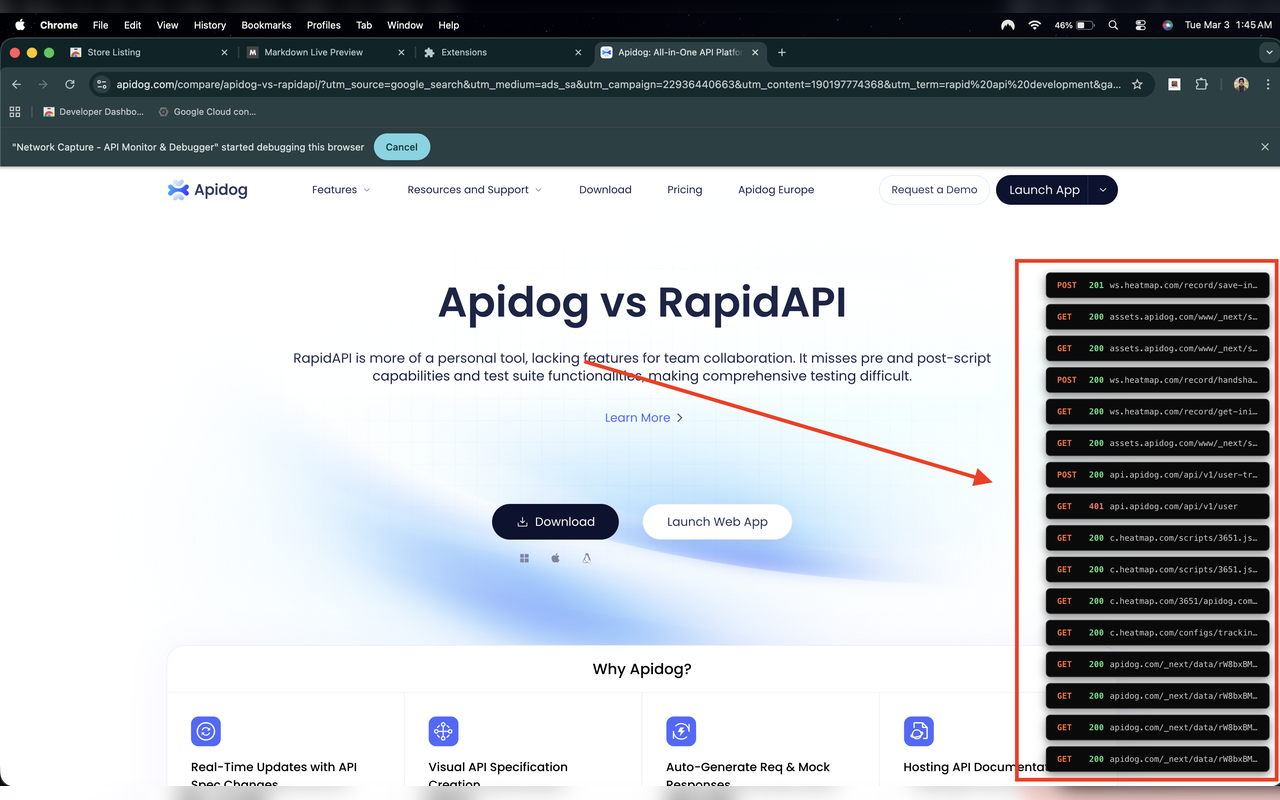 Network Capture - API Monitor & Debugger - 截图 2