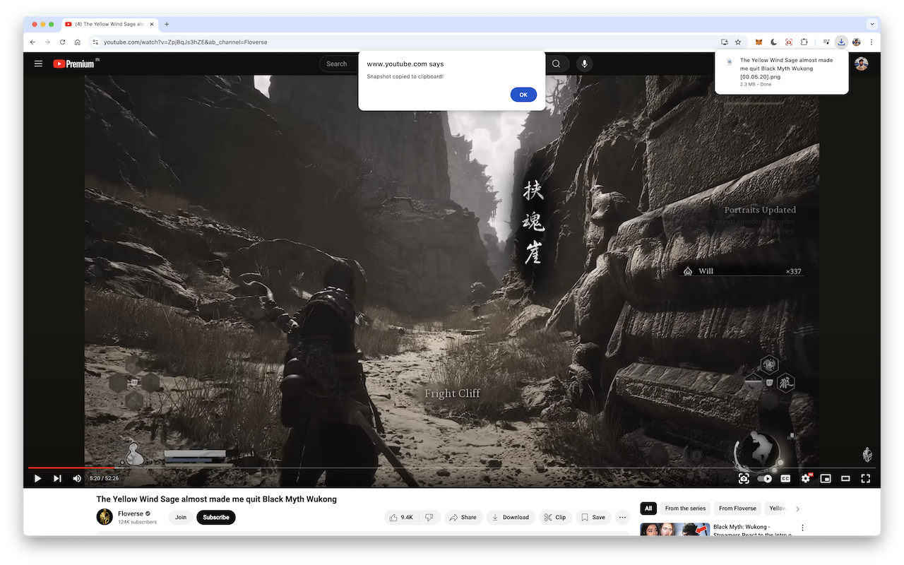YouTube Snapshot - 截图 1
