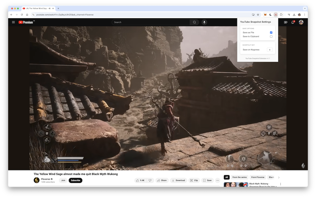YouTube Snapshot - 截图 2