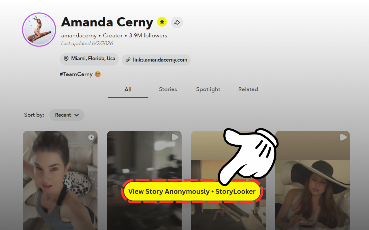 StoryLooker – Snapchat Viewer & Downloader - 截图 1